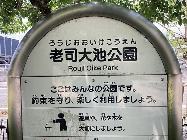 老司大池公園(約1m)