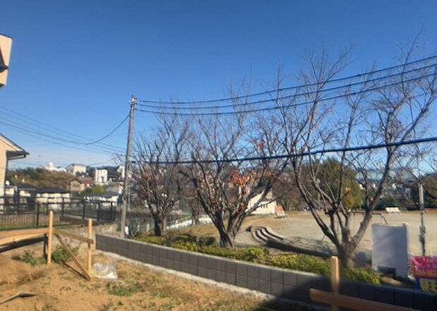 桜や紅葉の名所に出かける人は多いと思いますが、家にいながら季節の移ろいを感じる生活を送りませんか?リビングや窓から見える景色が生活を彩るワンポイントに!現地から見える景色を堪能してみては如何でしょう。