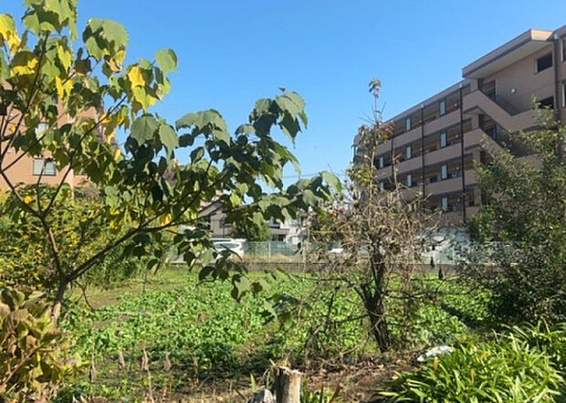 桜や紅葉の名所に出かける人は多いと思いますが、家にいながら季節の移ろいを感じる生活を送りませんか?リビングや窓から見える景色が生活を彩るワンポイントに!現地から見える景色を堪能してみては如何でしょう。