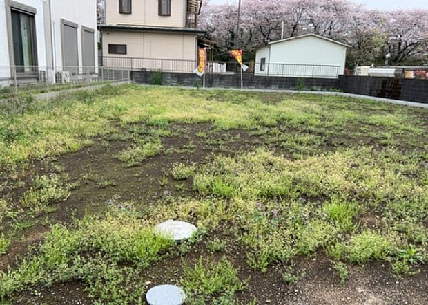 木造住宅とは土台、壁、柱など建築物の強度を支える構造体の材に木が使用されている構造を指します。構造体は建物の自重を支えるだけではなく風圧や水圧、積裁荷重などあらゆる衝撃に耐えるための基礎です。
