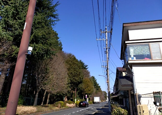 桜や紅葉の名所に出かける人は多いと思いますが、家にいながら季節の移ろいを感じる生活を送りませんか?リビングや窓から見える景色が生活を彩るワンポイントに!現地から見える景色を堪能してみては如何でしょう。