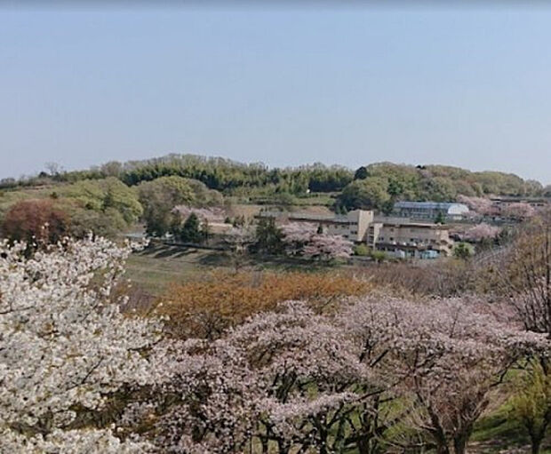 白山神社下公園(約83m)