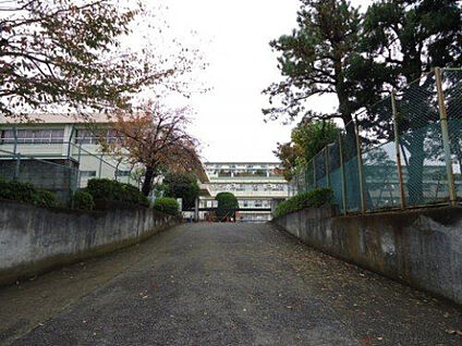 鶴川第三小学校 1522m(徒歩20分)