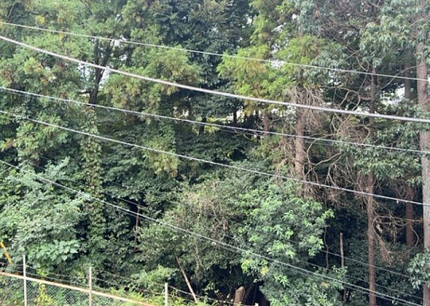 【物件からの展望】眺望を気にして物件を探す場合、前面に建物が建っていないか現地で確認しましょう!前面に建物があると景色はもちろん、日当たりや風通しにも影響が出てきます。住んだ時のことを想像しながら現地見学をしましょう。