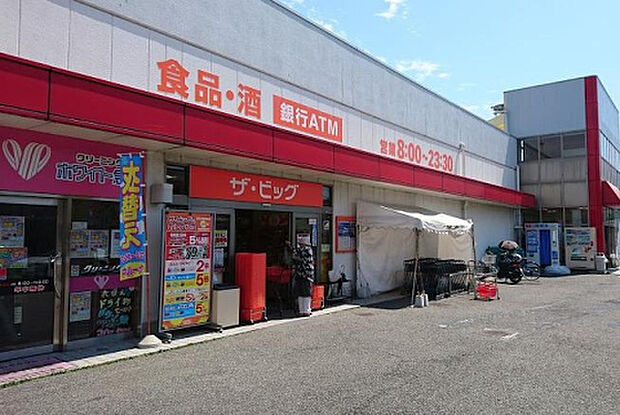 ザ・ビッグ厚木旭町店（約543m）
