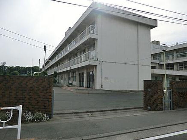 横山小学校(約243m)