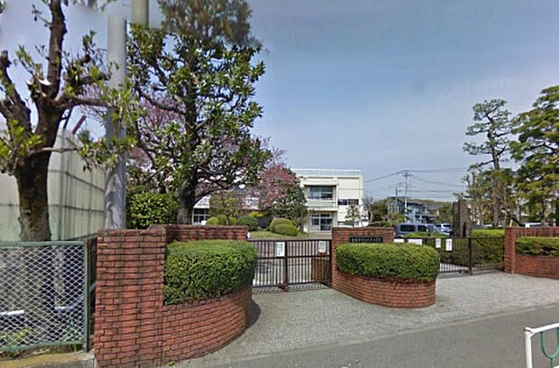 大沢小学校(約248m)