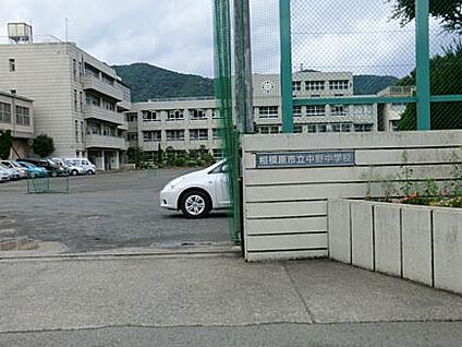 中野中学校 528m(徒歩7分)