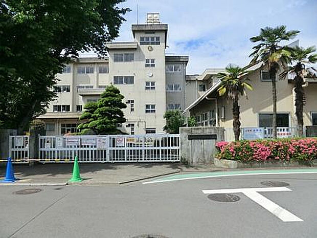 大島小学校(約787m)