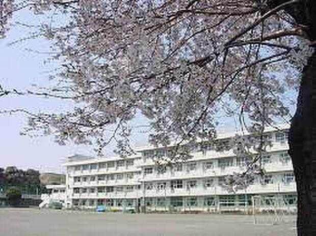 立野台小学校(約536m)