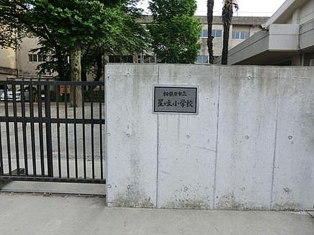 星が丘小学校（約634m）