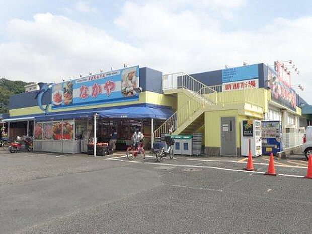 なかや入谷店(約216m)