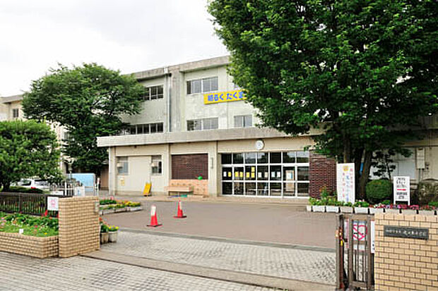 光が丘小学校（約527m）