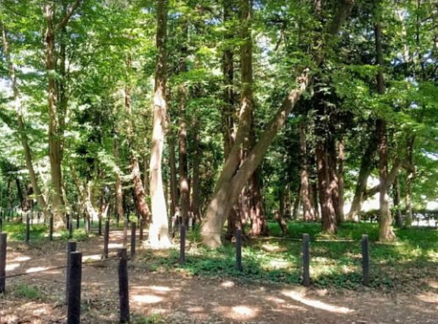 古淵鵜野森公園（約1,884m）