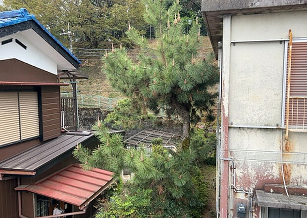 【物件からの展望】眺望を気にして物件を探す場合、前面に建物が建っていないか現地で確認しましょう！前面に建物があると景色はもちろん、日当たりや風通しにも影響が出てきます。住んだ時のことを想像しながら現地見学をしましょう。