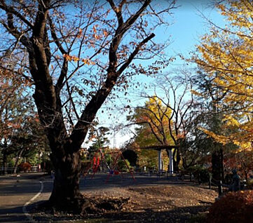 座間公園 556m(徒歩7分)