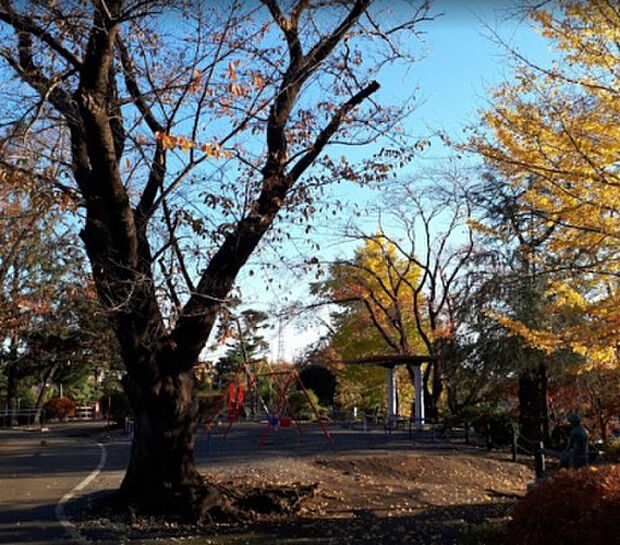 座間公園(約556m)