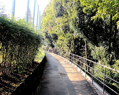 諏訪北公園 482m(徒歩7分)