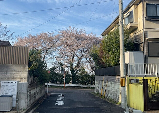 【物件からの展望_3】田園風景が味わえる土地に住みたい!海や山の見える自然豊かな土地に住みたい!などご要望に併せて当社営業がご提案させて頂きます。当社が抱えている数ある物件の中からお客様が納得する1件を一緒に探しましょう!
