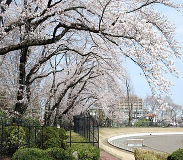 富士森公園 318m(徒歩4分)