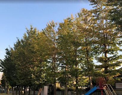 春日台第4公園 565m(徒歩8分)