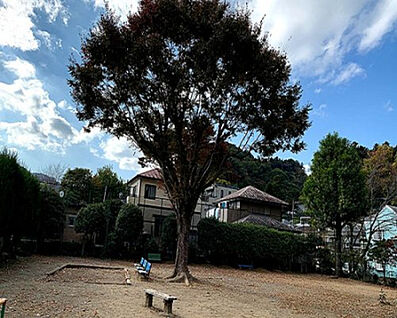 高尾上宿公園 317m(徒歩4分)