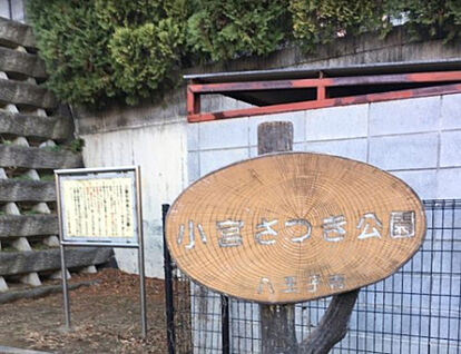 小宮さつき公園 187m(徒歩3分)