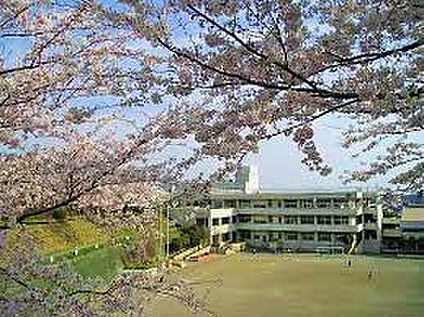 中原小学校 868m(徒歩11分)