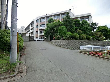 相模丘中学校 482m(徒歩7分)