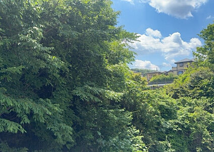 物件からの展望