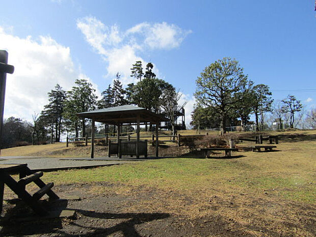 大坂台公園（約483m）