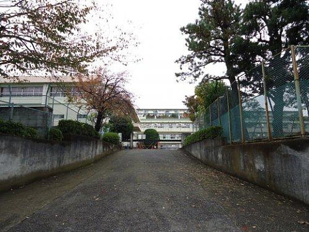 鶴川第三小学校(約733m)