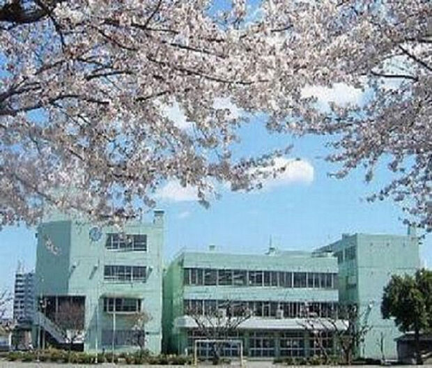 妻田小学校（約749m）