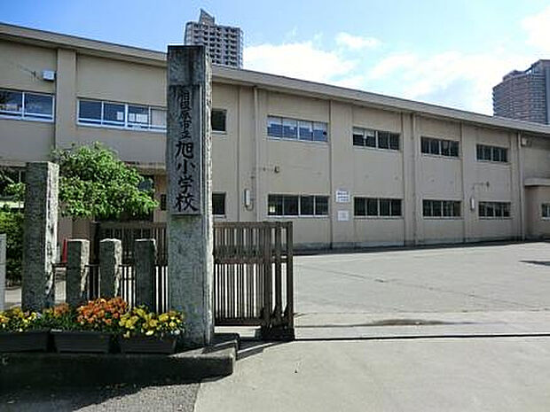 相模原市旭小学校（約905m）