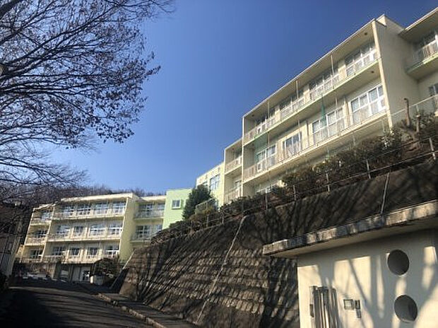 小宮小学校（約976m）