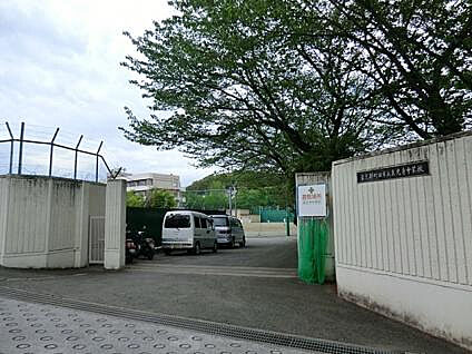 真光寺中学校 993m(徒歩13分)
