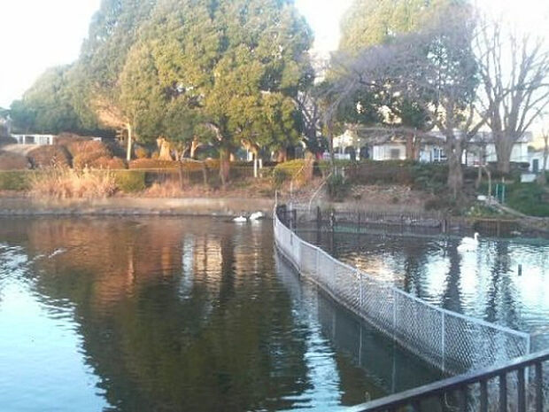 鹿沼公園(約595m)