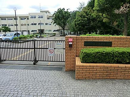 中央小学校 740m(徒歩10分)