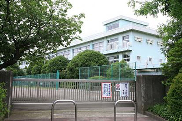緑ヶ丘小学校(約795m)
