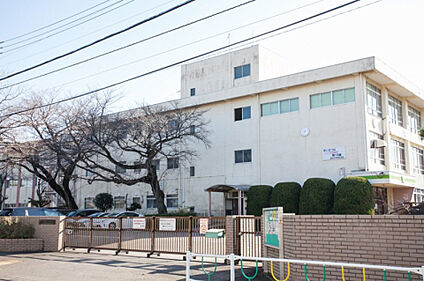 緑が丘中学校 733m(徒歩10分)