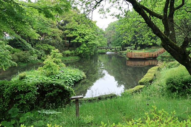 道保川公園(約349m)