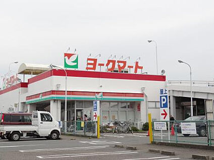 ヨークマート田名店 247m(徒歩4分)