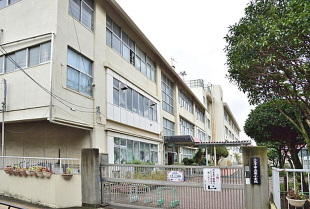 第一小学校(約591m)