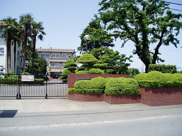 大沢中学校(約872m)
