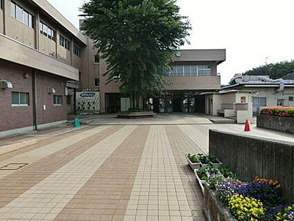 陽光台小学校 508m(徒歩7分)