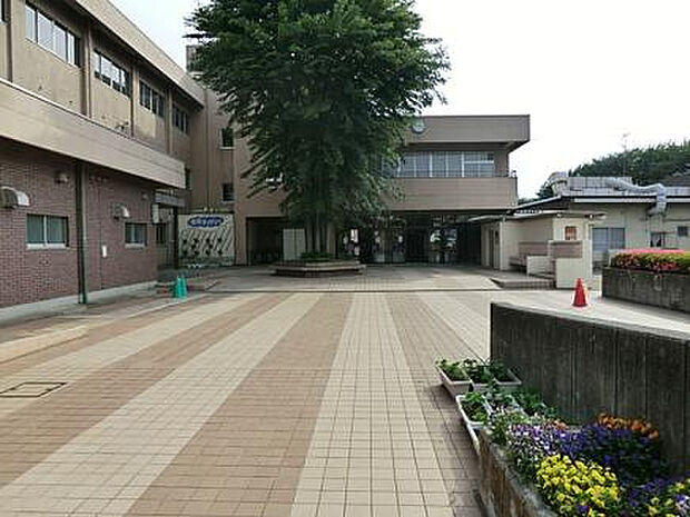 陽光台小学校(約508m)