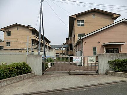 当麻田小学校 263m(徒歩4分)