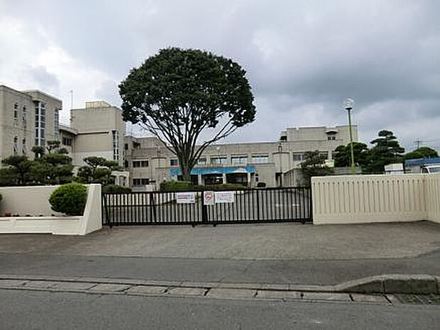 上溝南中学校（約118m）