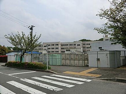 小山田中学校 1764m(徒歩23分)