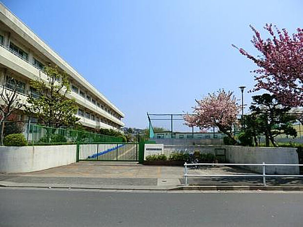 大蔵小学校(約908m)